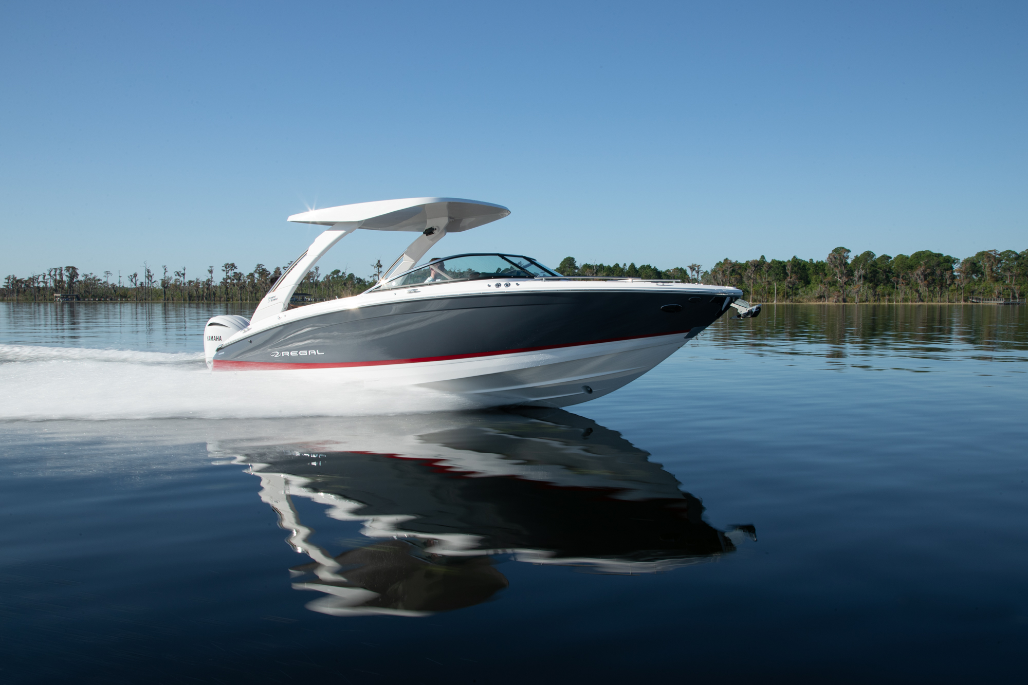 Regal LX6 · gallery