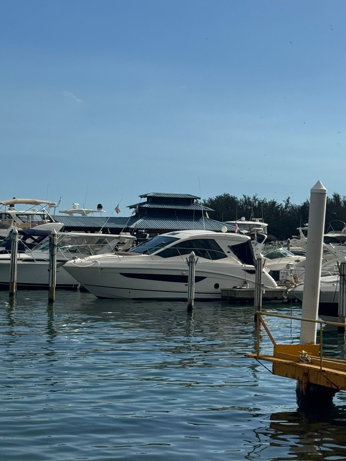 Sea Ray Sundancer 350 Coupe 2018 · 3